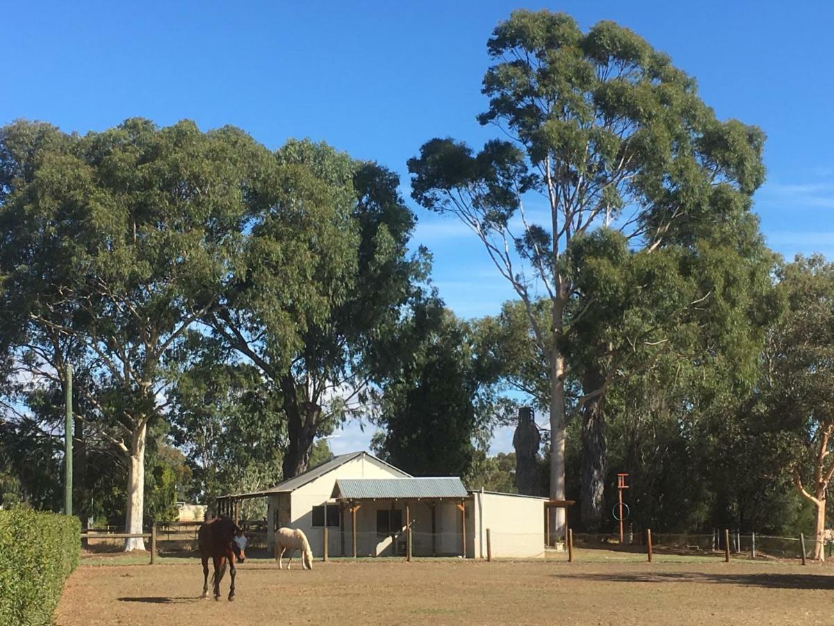 Rivergum Cottage Swan Valley Henley Brook Esterno foto